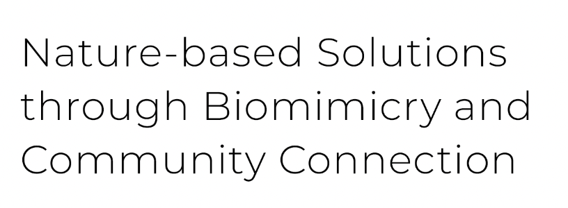 Text Nature-based Solutions through Biomimicry and Community Collaboration