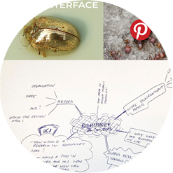 Biomimicry for HCI