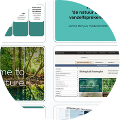Biomimicry course HvA